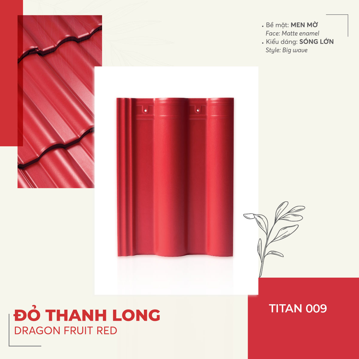 NGÓI TRÁNG MEN CAO CẤP TITAN009