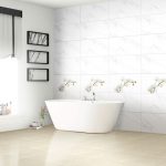 PG_4080-CARARAS001_orchid4080fansipan09