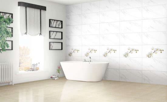 PG_4080-CARARAS001_orchid4080fansipan09