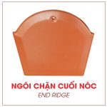 Titan001-ngoi chan cuoi noc-dongtamshop