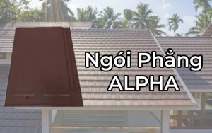 Ngoi Phang DTG