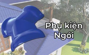Phu kien ngoi