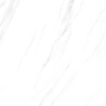 3060NOBLE001-H+ F1