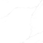 4080CARARAS004 F8