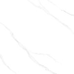 100CARARAS002-FP-H+-F1 (1)